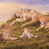 "Pride of the Plains"  oil  15" x 30"  - available - I saw this pride of lions (15 cubs) in Kenya - I'm working on a small companion piece of just the center cub.