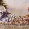 "Edge of the Grassland"   oil  15" x 30"  -sold (giclee prints available in as full size and smal)l.