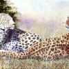 "Edge of the Grassland" Giclee Print
12" x 24"  $280 edition of 100
6" x 12"  $65 edition of 250