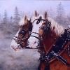 "Two Up"  oil  14" x 18" available - to show at the 17th Annual 2013 San Dimas western Show.
Energy, power & beauty. These are true gentle giants who give their all. 